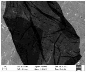 Large diameter Graphene Oxide Powder flake diameter 15~25 um single layer 97%